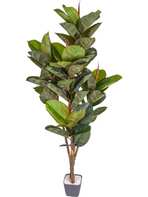 PremiumPort Gerçek Dokulu Yapay Kauçuk Ağacı, 57 Yaprak, 150 Cm, Doğal Görünüm