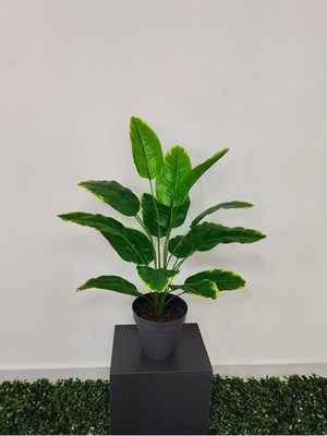 PremiumPort 70 cm Yapay Salon Köşe Bitkileri Seti, Dekoratif Palmiyeler ve Monstera