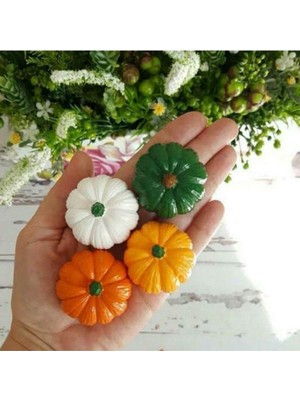 PremiumPort Renkli Kabak Biblo Seti, Dekoratif ve Şık 4 Parça