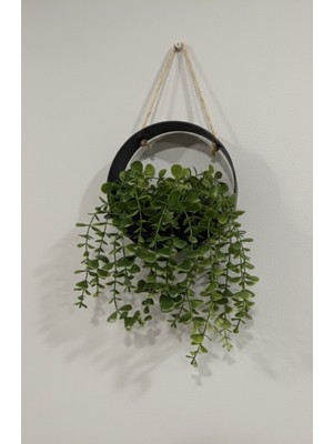 PremiumPort Siyah Renkli Yapay Çiçek Saksısı ve Ip Askılı Sarmaşık Duvar Dekoru