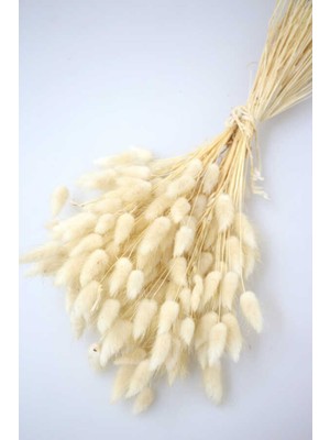 PremiumPort Doğal Kurutulmuş Pamuk Otu ve Lagurus Çiçek Aranjmanı, 40-45 Dal
