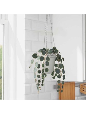 PremiumPort Yeşil Yapay Bitki Saksılı Sarkan Kalp Çiçeği 41 Cm, Dekoratif ve Doğal Görünüm