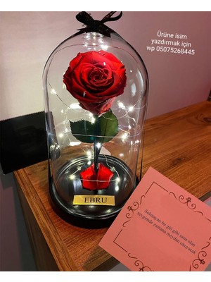 PremiumPort Solmayan Gül Cam Fanusta, Özel Hediye, Sevgililer Günü Için Ideal Seçenek