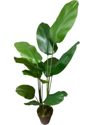 PremiumPort Yapay Ağaç Starliçe Islak Dokulu, 12 Büyük Yaprak, 170 Cm, Dekoratif