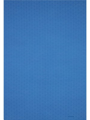 Pierre Cardin Mavi 75X190 cm Logolu Ipek Koton Jakar Şal