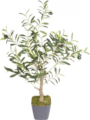 PremiumPort Yapay Zeytin Ağacı Saksıda, 80 Cm, Canlı ve Dekoratif Yeşil Yapraklar