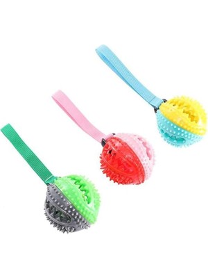 Hype Store Glipet Tutmalı Diş Kaşıyıcılı Köpek Oyun Topu 23 cm