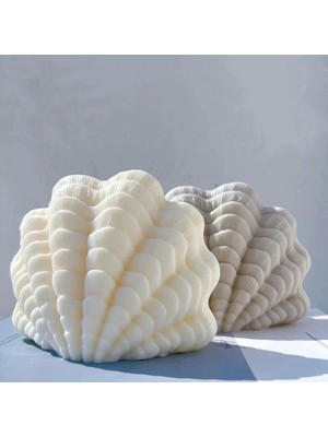PremiumPort Beyaz Renkli Dekoratif Deniz Kabuğu, Şık ve Doğal Görünüm