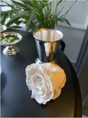 PremiumPort Gümüş Kaplama Gül Vazosu, Zarif ve Şık Çiçeklik Tasarımı