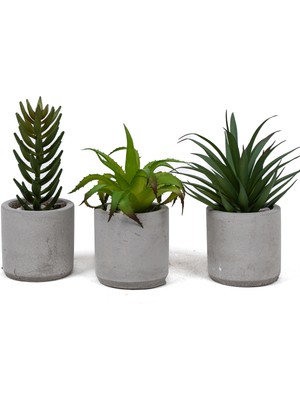 PremiumPort Yapay 3'lü Kaktüs Seti, Şık ve Dayanıklı Beton Saksılarla Dekorasyon
