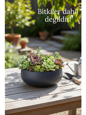 binbirdemet El Yapımı Dekoratif Saksı - Minimal Dekor - Mumluk | Renkli Dekoratif Seri