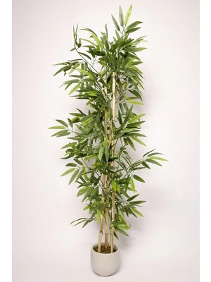 PremiumPort Dekoratif Yapay Çiçek Saksıda, Salon Ağacı, Bambu Gövdeli, Dolgun Yapraklı