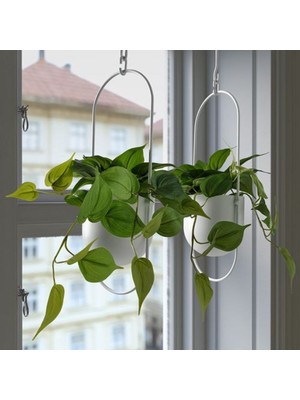 PremiumPort Yeşil Yapay Bitki, Dekoratif ve Bakımı Kolay, Ev ve Ofis Için Uygun