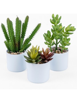PremiumPort Beyaz Renkli Saksıda Yapay Kaktüs ve Sukulent Dekoratif Bitki
