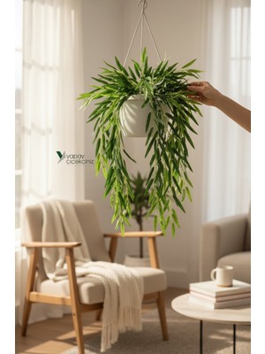 PremiumPort Yeşil Dekoratif Sarmaşık Bitki, Doğal ve Şık Ev Dekoru Hediye