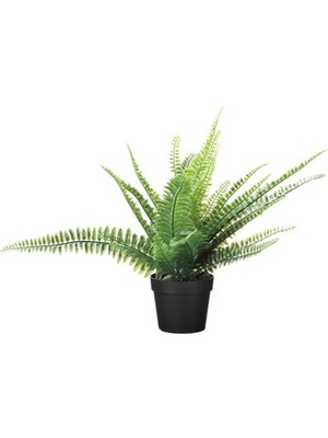 PremiumPort Yeşil Yapay Bitki, 9 Cm, Dekoratif ve Kolay Bakımlı Alternatif