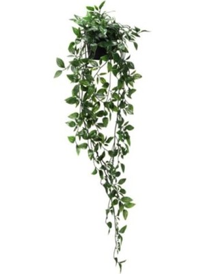 PremiumPort Canlı Görünümlü 70 cm Yapay Sarmaşık, Dekoratif Bitki, Doğal Atmosfer