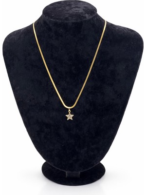 Pangu Altın Renk Yıldız Figürlü Taşlı Çelik Kolye