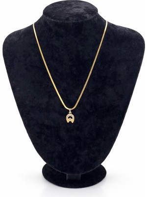 Pangu Altın Renk Nal Figürlü Çelik Kolye