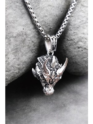 Ak Store Silver Erkek, Ejderha Başı (Dragon) Figürlü Fantastik K-179 Paslanmaz Kromix Çelik Gümüş Kaplama Kolye