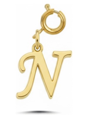 Silveranka 925 Ayar Gümüş N Harfi Kolye Ucu - Charm