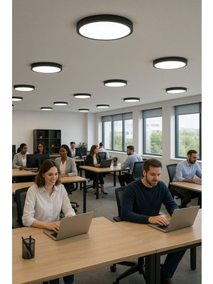 PremiumPort 24W Siyah Modern Tavana LED Avize, Buz Beyazı Işık, 30CM, Salon ve Mutfak Için