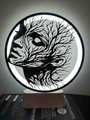 Kamer LED Işıklı