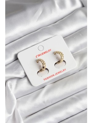 Aspata Store Buğz 14K Gold Renk Kaplama cm Kadın Küpe