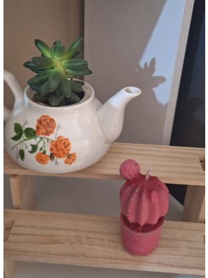 Mitos Space Pembe Saksılı Kaktüs Mum