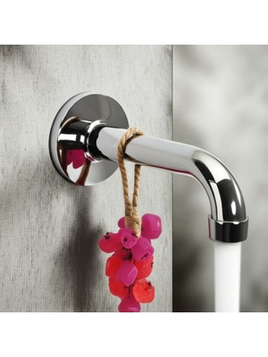 Mitos Space Salkım Pınk Rose