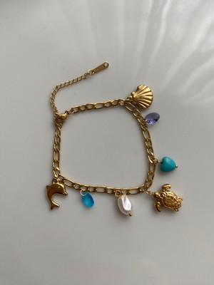 Anetta Jewelry Kadın Altın Renk Charmlı Kaplumbağa Çelik Bileklik