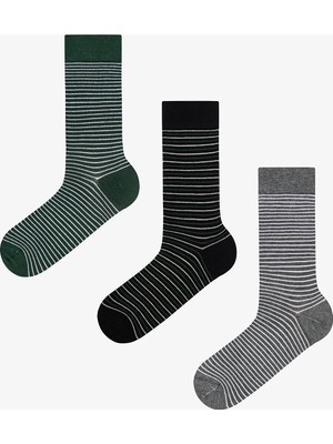 Penti Erkek Renkli Forest Lines 3'lü Soket