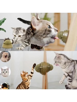 Ttt Kedi Nanesi Oyun Topu