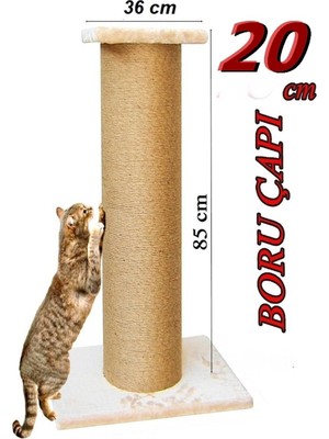 Feyza Design Turkuaz Renkli Pet Dev Tırmalama Taşı - Doğal ve Dayanıklı Ikili Set