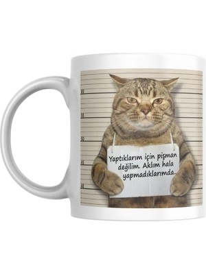 Braventa Collection Pişman Değilim Komik Yazılı Kupa Bardak Hediyelik Çay Kahve Kupası Coffee Mug