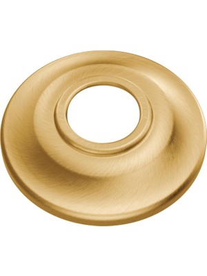 AT2199BG Evrensel Standart Duş Kolları Için Yedek, Fırçalanmış Altın