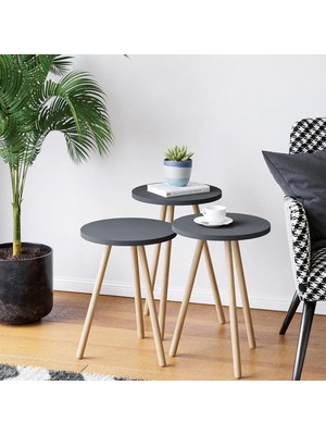 Braventa Collection Intergo-Üçlü Ahşap Ayaklı Yuvarlak Tasarım (Antrasit Gri)