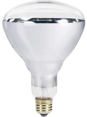 Braventa Collection Ledvance 250W Infrared Şeffaf Ampul E27