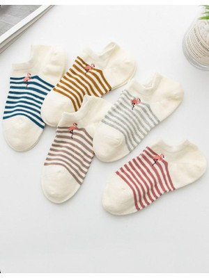 Çorap Kurdu 5'li Ekonomik Paket Flamingo Detaylı Çizgili Unısex Patik Çorap Set