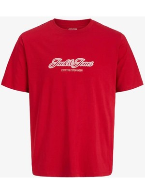 Jack & Jones Jorcatskills Çocuk Tişört