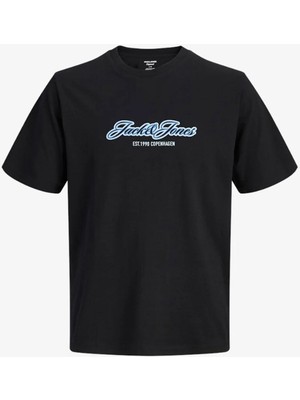 Jack & Jones Jorcatskills Çocuk Tişört