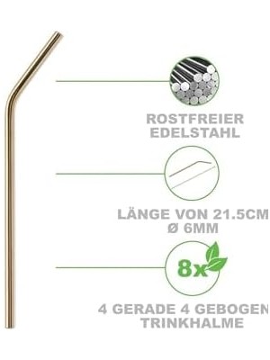 Skygo Life 2 Adet Metal Paslanmaz Pipet ve Temizleme Fırçası MIT1217