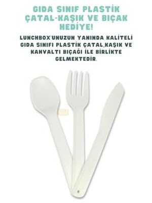 Skygo Bento 1600ML Lunchbox Sevimli Kedi Desenli Tek Katlı 2 Bölmeli Pp Plastik Sefer Tası Yemek Kutusu