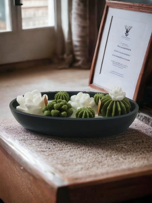 %100 Doğal | Kimyasal Içermez | Kayık Tabakta Kaktüs Seti Mum, Hediyelik Mum