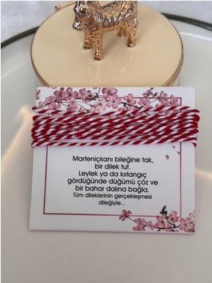 Hercy Marteniçka Ip Bileklik | 10 Adet Marteniçka Ip | Şans Bilekliği