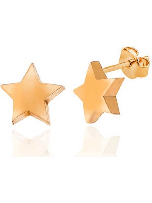 Skygo Gümüş Rose Yıldız Çivili Kadın Küpe