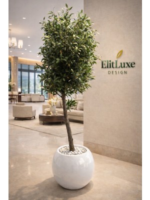 Elit Organizasyon & Tasarım Elitluxe Design 220 cm Premium Yapay Zeytin Ağacı – Parlak Beyaz Saksılı, Lüks Dekoratif Büyük Boy Ağaç