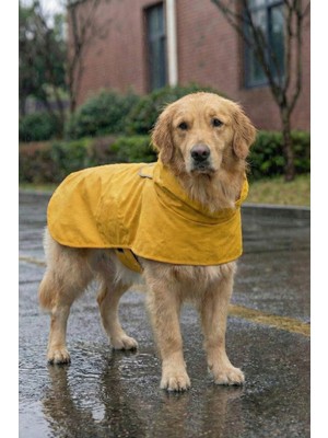 Feyza Design Su ve Rüzgar Geçirmez, Konforlu Küçük ve Büyük Irk Köpek Yağmurluğu