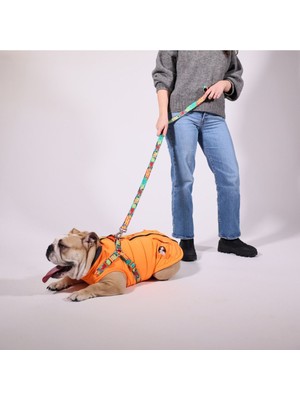 Feyza Design Turuncu Köpek Yağmurluk, Dayanıklı ve Şık Köpek Montu