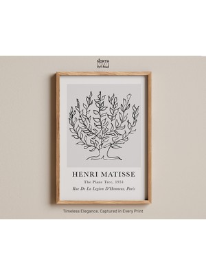 Ninastore Çınar Ağacı Baskısı, Henri Matisse Botanik Çizim Sanatı, Siyah Mürekkeple Yapılmış Bitki Çizimi, 195